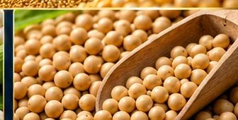 Soybeans
