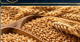 Wheat